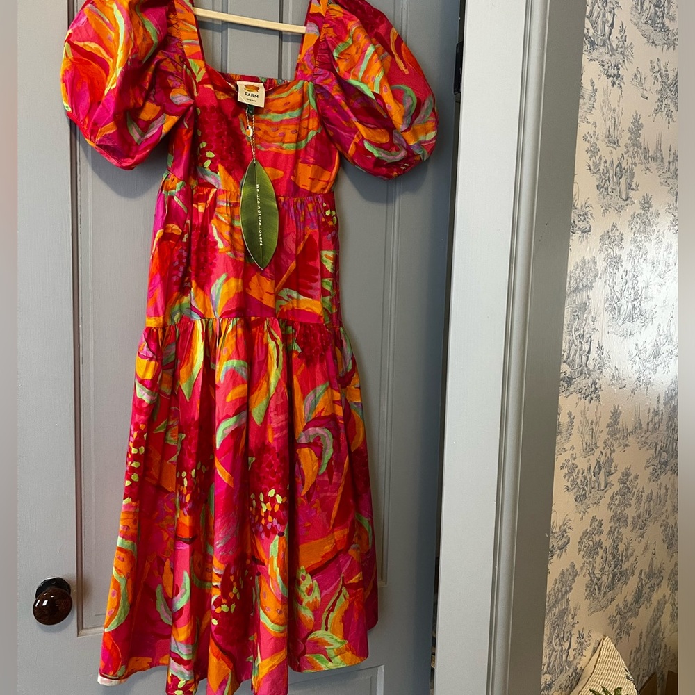 Farm Rio Fruit Brush Midi Dress